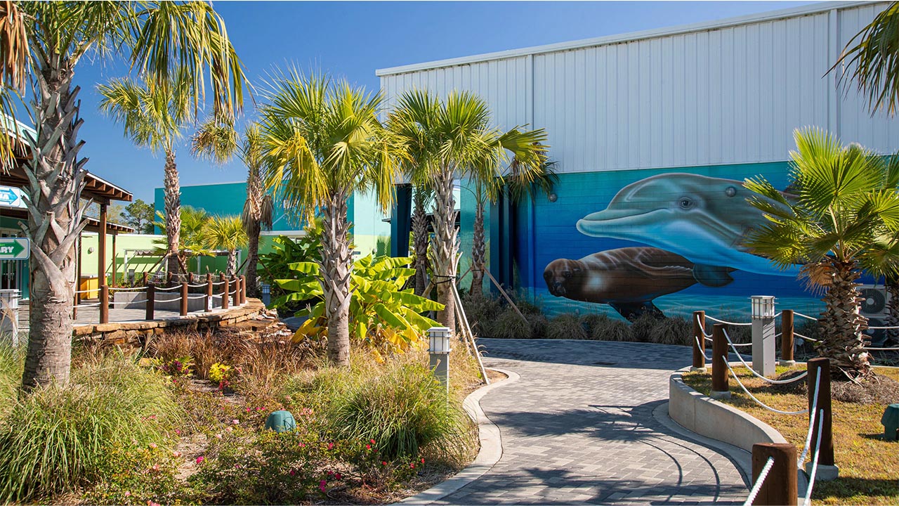 attraction-gulf-port-the-institute-for-marine-mammal-studies